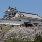 菱櫓跡辺りからの眺め