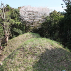 東尾根曲輪より五重堀畝と桜