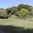 北の丸跡から松尾山を眺める