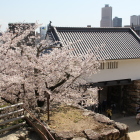 天守閣玄関より天守櫓御門
