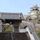 四足門とリニューアル天守閣