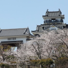 同左より天守閣・天守御門の眺め