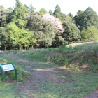 二の曲輪虎口より中仕切土塁横の山桜