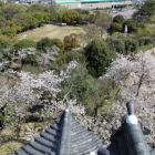 日本庭園・中央公園旧競技用プール跡