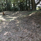 北の丸跡西側の土塁