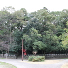 神社周囲の森林と下は土塁