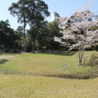 二の曲輪西の桜と土塁