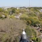 西の作佐曲輪・作佐の森方向