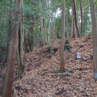 松井田城の連続竪堀
