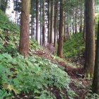 北条氏の城、中山城の深い堀底