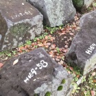 ⑧	石の個々に付けられた番号
