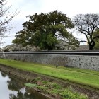①	復旧した長塀と坪井川