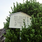 説明板