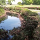 畠山重忠像付近の水堀