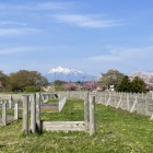 北館からの岩木山の眺め
