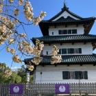 天守と鬱金