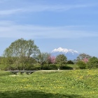 岩木山の眺め
