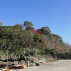 矢崎城遠景