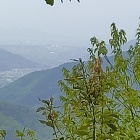 置塩城の本丸跡から見た景色