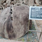 津山城の忘れ去られた岩