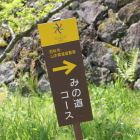 北面石垣の道路沿いに山本陣屋の記載看板