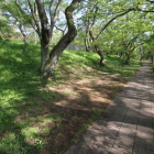 二の丸の北辺土塁