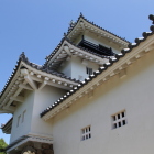 真新しい天守閣・付櫓の西面