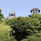 緑橋辺りより新緑に浮かぶ太鼓櫓・天守