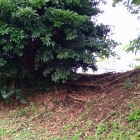 丸山城主郭の虎口
