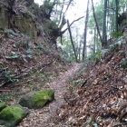 島崎城、巨石も転がる堀底