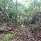 津久井城の堀切