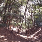 七沢城見城の竪堀