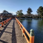 ④	九華公園