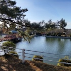 ⑤	九華公園