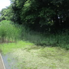 境内外 北東から