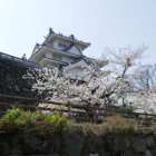 2019　春