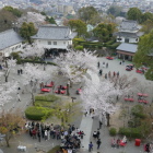 天守より本丸を望む