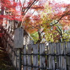 日本人なら紅葉　桜　富士山　城ってか