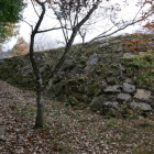 本丸周辺の石垣