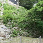 ちょっとびどいな草をひっこぬきたくなる