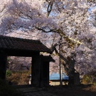 道徳館の門