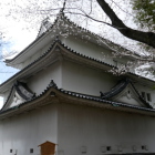 背面は窓が少ない
