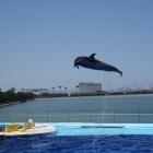 四国四国水族館