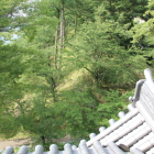 展望階より北方向本丸土塁