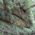 搦手登城路の南崖断層