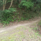 二の丸と本丸の間の土橋と堀切