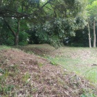 二の丸の土塁