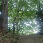 三の丸の堀切