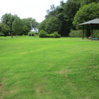 公園の一風景