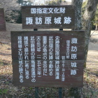 やはり美濃守でしょう